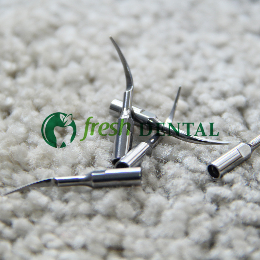 5 PZ Punte per Ablatore Ultras - Dental Scaler Ultrasonic recensione e prezzo