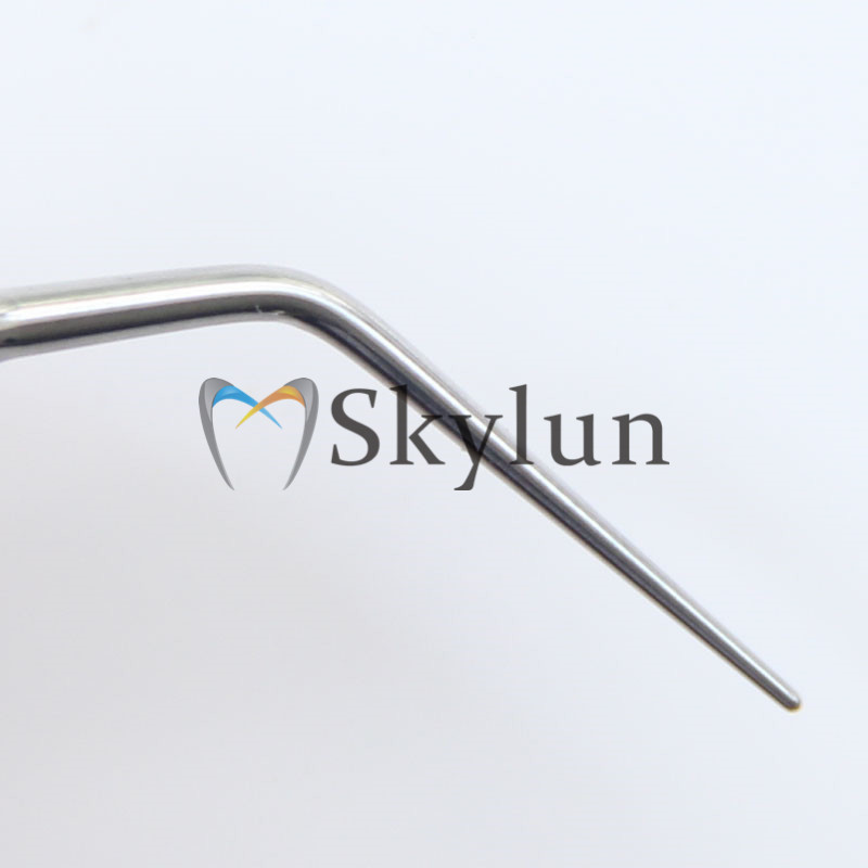 5 Punte per Ablatore Dentale a - Dental Scaler Ultrasonic recensione e prezzo