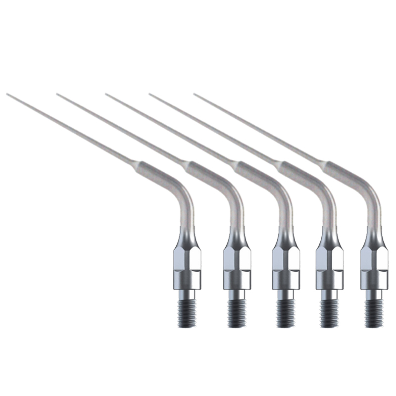 5 Punte per Ablatore Endodonti - Dental Scaler Ultrasonic recensione e prezzo
