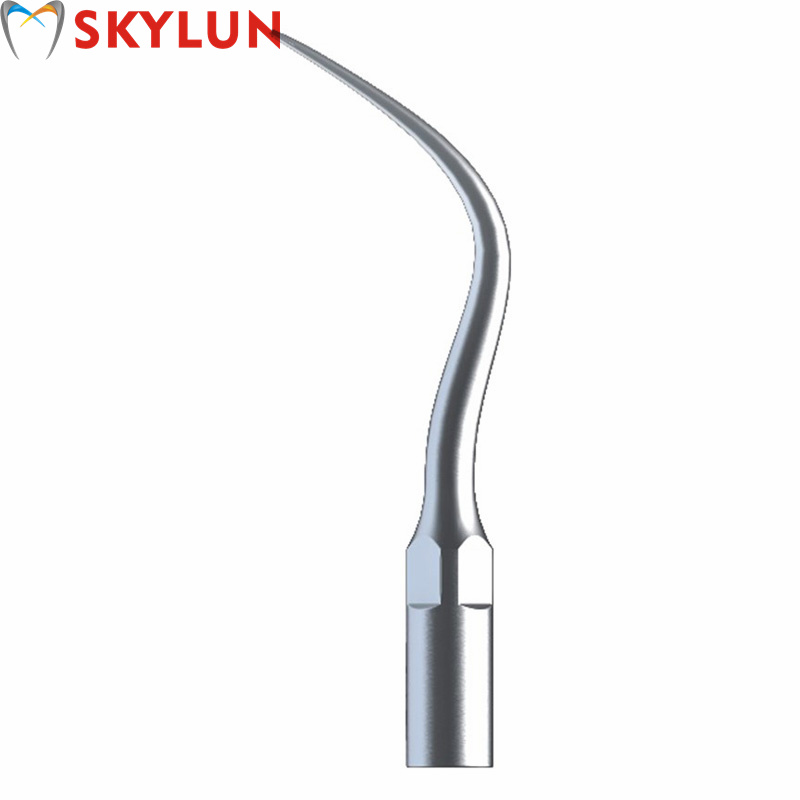 5 Punte per Ablatore Dentale a - Dental Scaler Ultrasonic recensione e prezzo